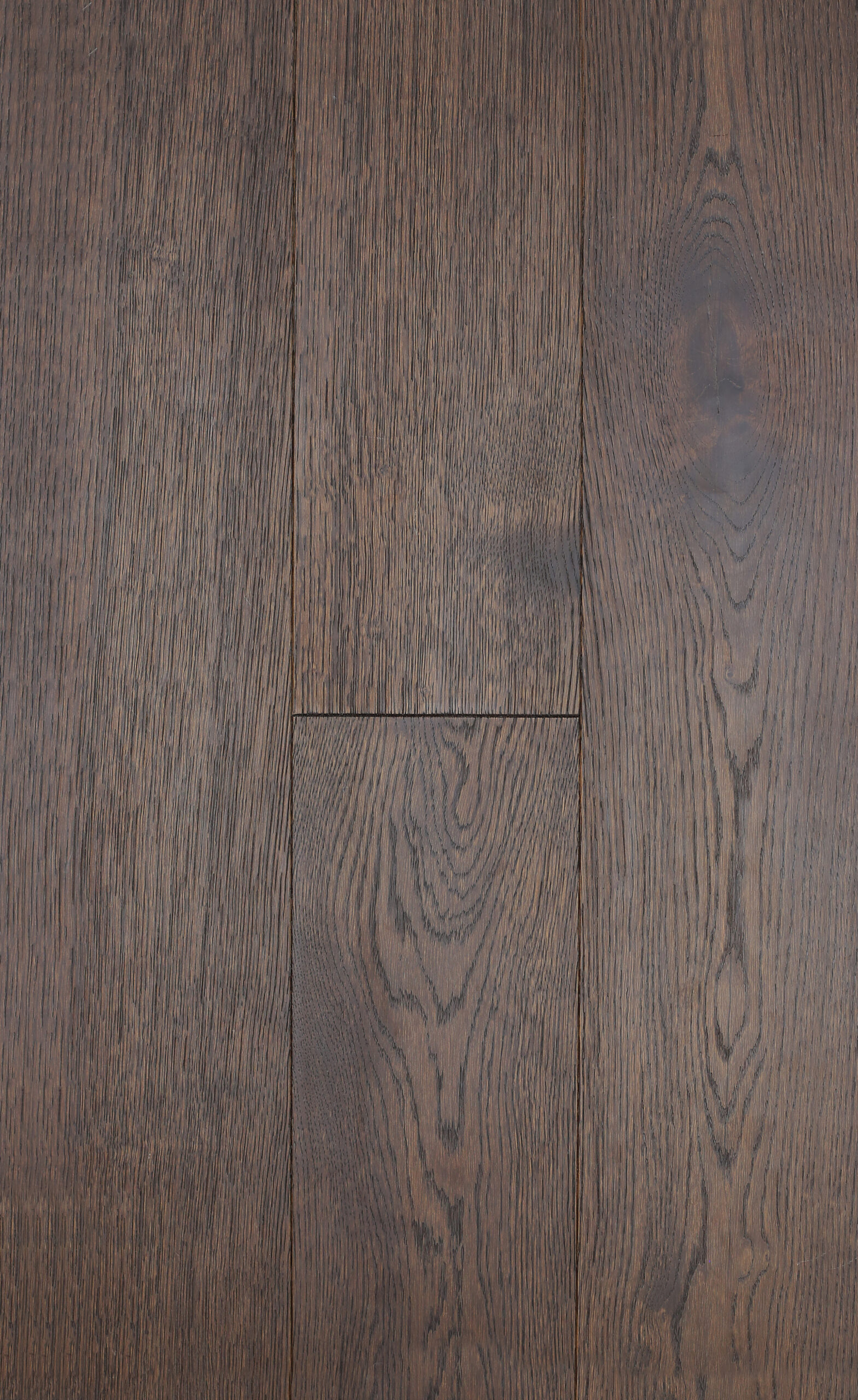 mokka-copy-scaled